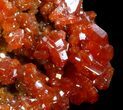 Red Vanadinite Crystal Cluster - Morocco #36977-2